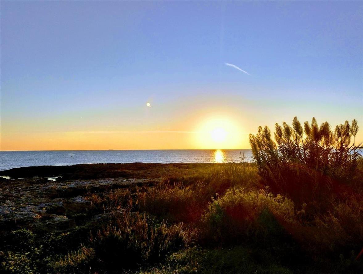 Bright Spacious 2 Bdr Apt, Near Arenal Beach Javea , + Free Parking 外观 照片